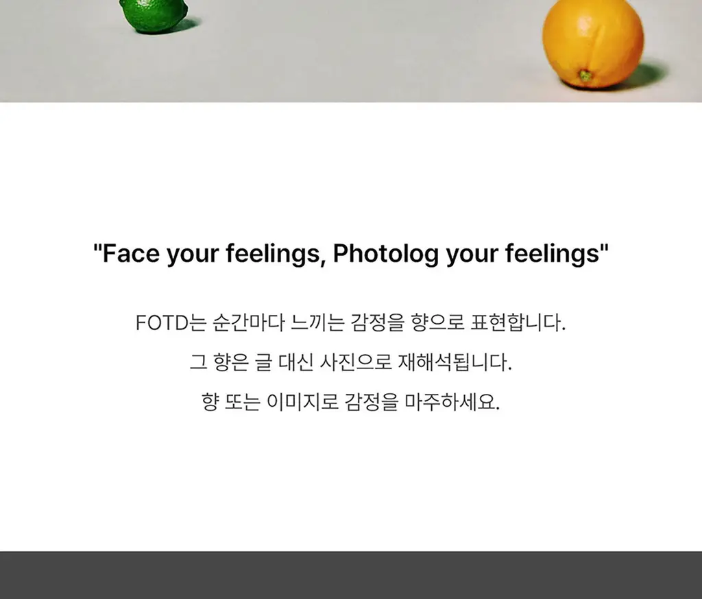 [NEW/라이트핏] 에프오티디 핸드 에어 더 시트러스 30ml 상세페이지 2
